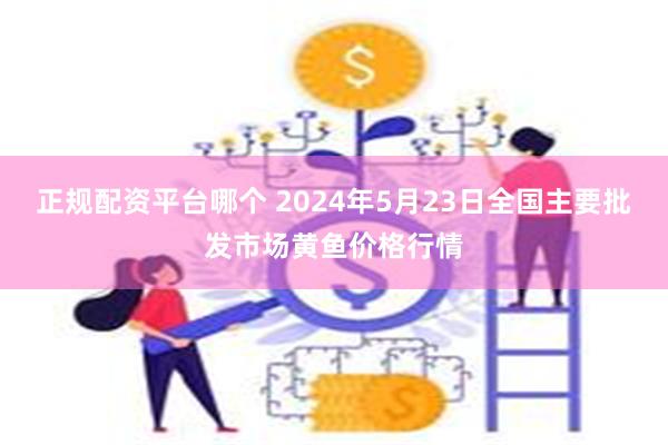 正规配资平台哪个 2024年5月23日全国主要批发市场黄鱼价格行情