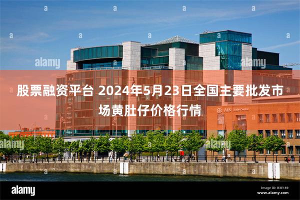 股票融资平台 2024年5月23日全国主要批发市场黄肚仔价格行情