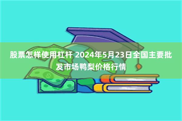 股票怎样使用杠杆 2024年5月23日全国主要批发市场鸭梨价格行情