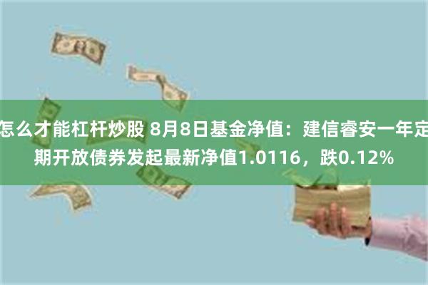 怎么才能杠杆炒股 8月8日基金净值：建信睿安一年定期开放债券发起最新净值1.0116，跌0.12%