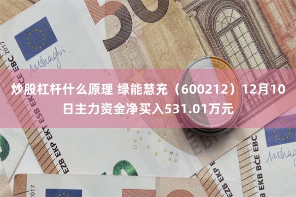 炒股杠杆什么原理 绿能慧充（600212）12月10日主力资金净买入531.01万元