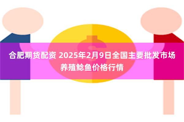 合肥期货配资 2025年2月9日全国主要批发市场养殖鲶鱼价格行情